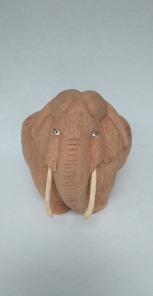 Coconut elephant